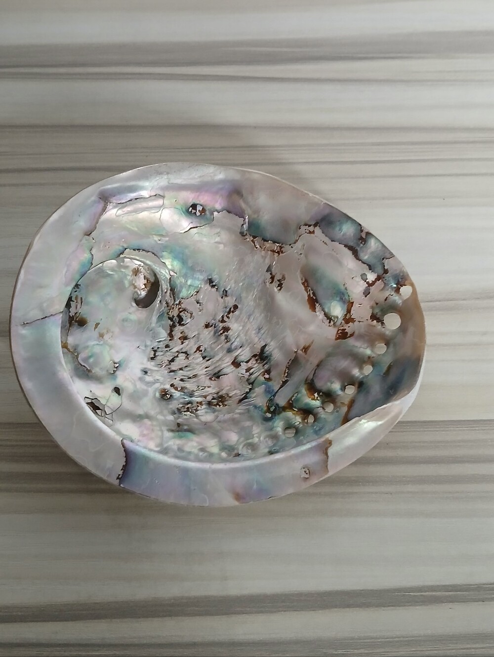 Genuine Abalone Shell - Picture 3 of 13